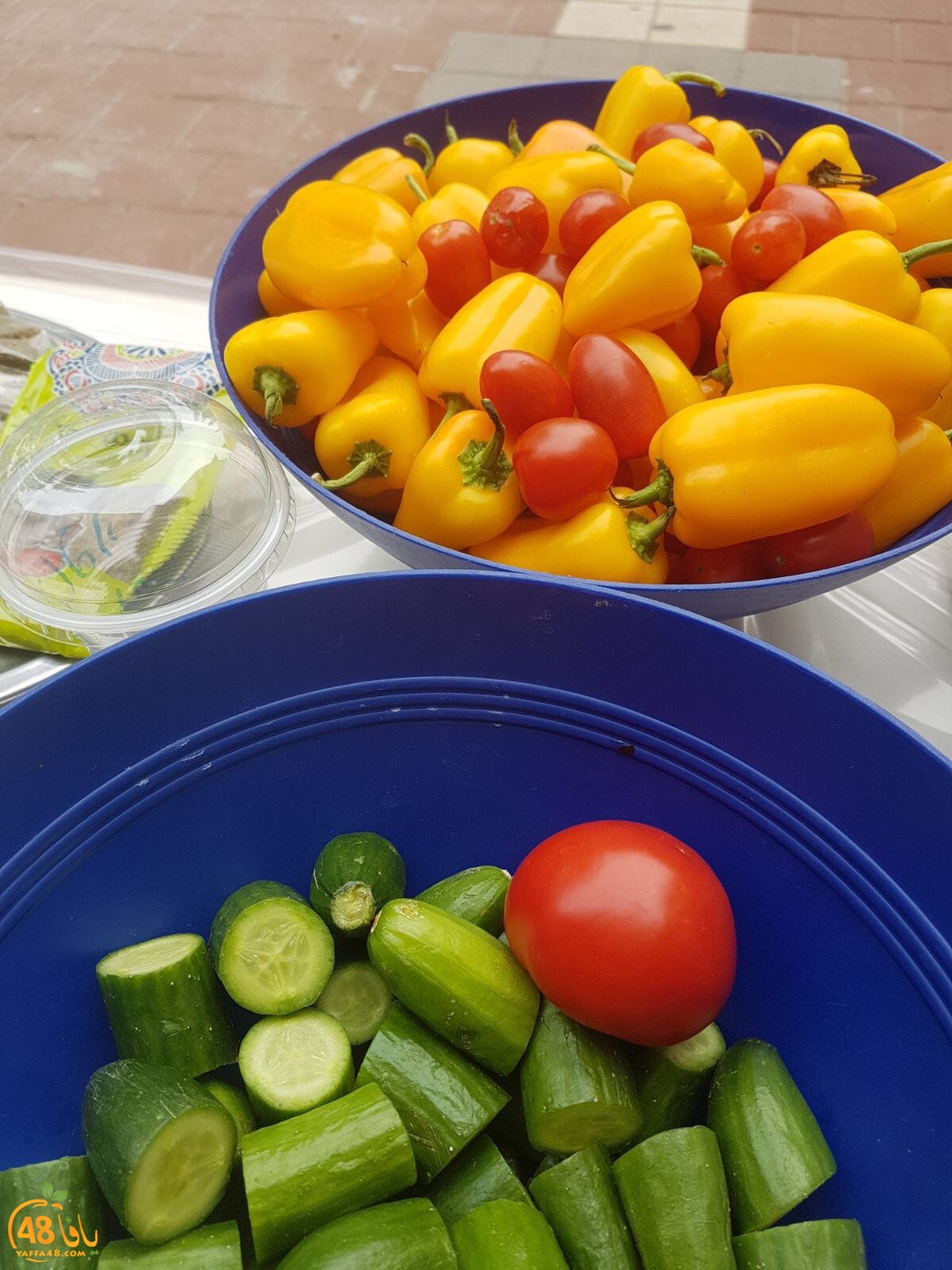 zahra2 primary school3 (14).jpg